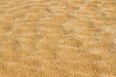 Yakın plan. Doku. Sahra, küçük çakıl taşları ve kum. Hamada geçmişi. Doğal desen.