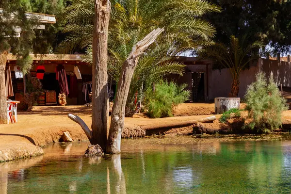 Ksar Ghilane vahasında doğal küçük bir gölet ve hediyelik eşya dükkanı manzarası. Tunus