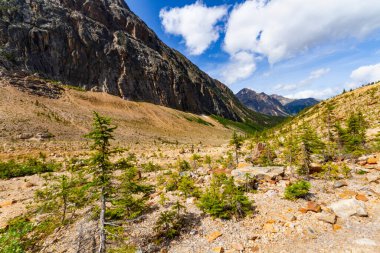 Buzul patikası boyunca uzanan dağların manzarası, Mt. Edith Cavell, Jasper Ulusal Parkı, Kanada
