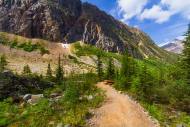 Rocky Dağları 'nda yürüyüş parkurunda. Buzul patikasının yolu. Mt. Edith Cavell, Jasper Ulusal Parkı, Kanada