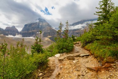 Altı Buzul Ovası 'na yürüyüş yolu. Dağlarda dar bir yol. Rocky Dağları. Banff Ulusal Parkı, Alberta, Kanada