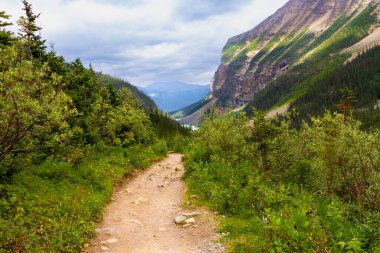Altı Buzul Ovası 'na yürüyüş yolu. Dağlarda dar bir yol. Rocky Dağları. Banff Ulusal Parkı, Alberta, Kanada