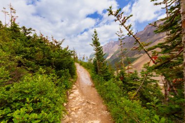 Altı Buzul Ovası 'na yürüyüş yolu. Dağlarda dar bir yol. Rocky Dağları. Banff Ulusal Parkı, Alberta, Kanada