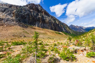 Buzul patikası boyunca uzanan dağların manzarası, Mt. Edith Cavell, Jasper Ulusal Parkı, Kanada
