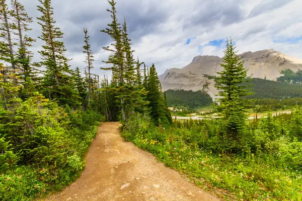 Parker Ridge 'e yürüyüş parkurunda. Dağlarda dar bir yol. Rocky Dağları. Banff Ulusal Parkı, Alberta, Kanada