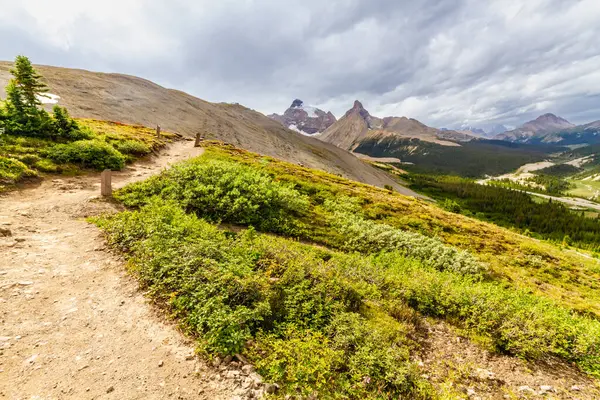 Parker Ridge 'e yürüyüş parkurunda. Dağlarda dar bir yol. Rocky Dağları. Banff Ulusal Parkı, Alberta, Kanada