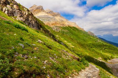 Altı Buzul Ovası 'na yürüyüş yolu. Dağlarda dar bir yol. Rocky Dağları. Banff Ulusal Parkı, Alberta, Kanada