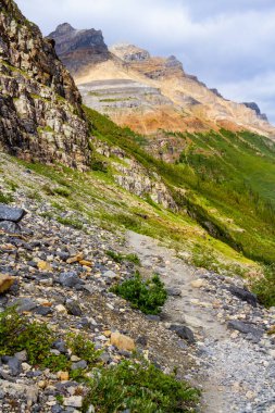 Altı Buzul Ovası 'na yürüyüş yolu. Dağlarda dar bir yol. Rocky Dağları. Banff Ulusal Parkı, Alberta, Kanada