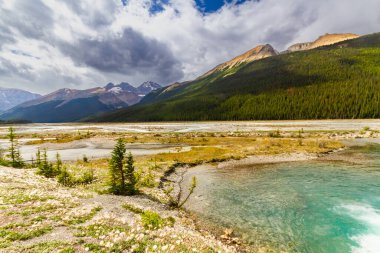 Athabasca Nehri 'nin geniş yatağı Icefield Parkway yakınlarında. Park Narodowy Jasper, Alberta, Kanada