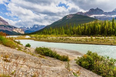 Athabasca Nehri 'nin geniş yatağı Icefield Parkway yakınlarında. Park Narodowy Jasper, Alberta, Kanada