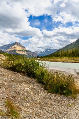 Athabasca Nehri 'nin geniş yatağı Icefield Parkway yakınlarında. Park Narodowy Jasper, Alberta, Kanada