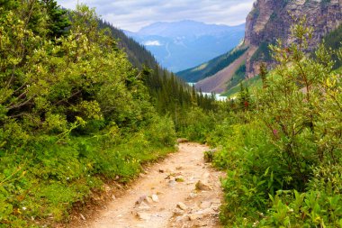 Altı Buzul Ovası 'na yürüyüş yolu. Dağlarda dar bir yol. Rocky Dağları. Banff Ulusal Parkı, Alberta, Kanada