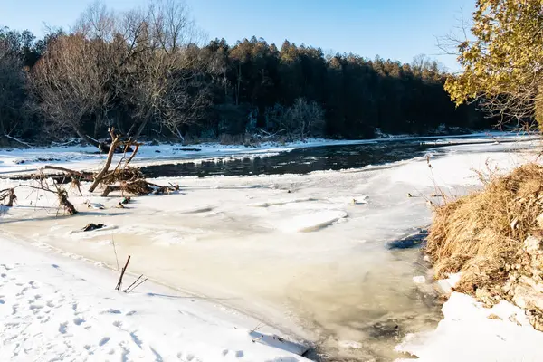 Kış manzarası. Buz, Elora yakınlarındaki Grand River 'ı kapladı. Elora Gorge Koruma Alanı, Ontario, Kanada