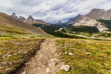 Parker Ridge 'e yürüyüş parkurunda. Dağlarda dar bir yol. Rocky Dağları. Banff Ulusal Parkı, Alberta, Kanada
