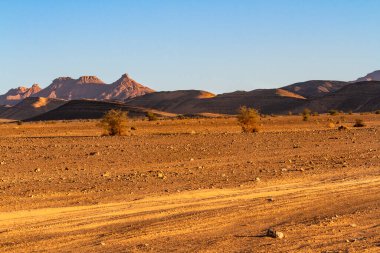 Lastik izleri olan kirli bir yol. Altın saatte Hamada. Ouarzazate Fas, Afrika.  