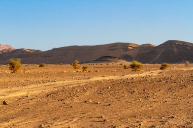 Lastik izleri olan kirli bir yol. Altın saatte Hamada. Ouarzazate Fas, Afrika.  