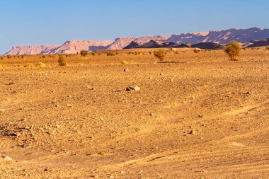 Altın Saatteki Hamada denen kuru, düz taşlı çöl. Fas 'ın Ouarzazate kasabası yakınlarındaki Hamada Çölü.