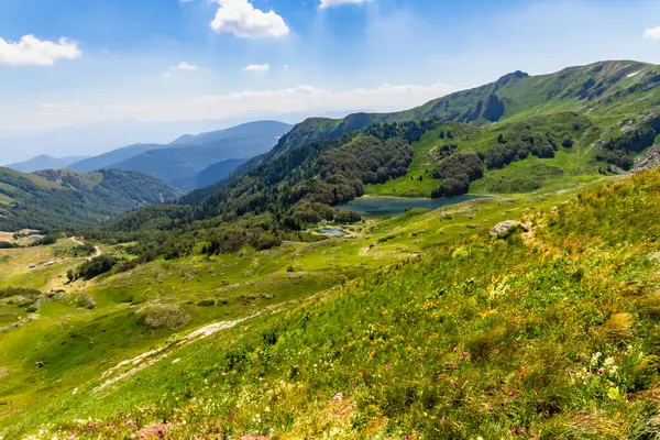 Resim gibi Bjelasica Dağları ve kristal gibi berrak Pesica Gölü. Biogradska Gora Ulusal Parkı, Kolasin, Karadağ.