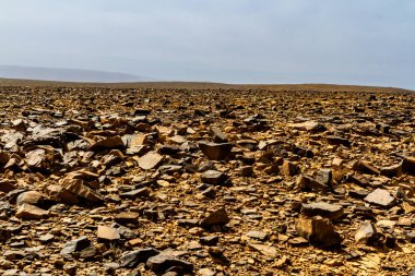 Atlas Dağları eteklerinde kuru, düz, kayalık bir Hamada tipi çöl. Fas, Afrika
