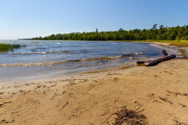 Huron Gölü. Bruce Yarımadası 'nın vahşi kumlu kıyıları. Ontario, Kanada