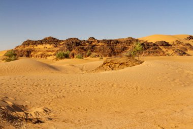 Sahra Çölü manzarası. Küçük kum tepeleri ve kayalar. Cezayir, Djanet yakınlarındaki Erg Admer