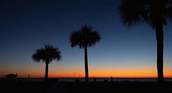 Palm Trees Sea Coast Rays Setting Sun Red Highlights Palm — Stock Photo, Image