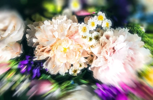 Şakayıklı Romantik Bir Buketin Yumuşak Odak Noktası Bulanıklaştı Çiçekleri Süsleme — Stok fotoğraf