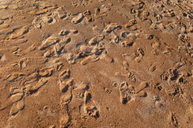 Denizde dinlen. Deniz kıyısındaki çıplak ayak izleri.