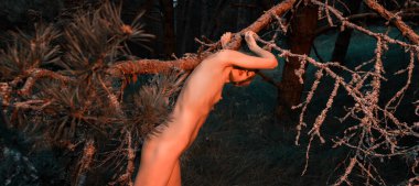 A young nude woman poses in a pine forest among old pines and dry branches, illuminated by the red rays of the setting sun. Nude art image