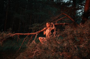 A young nude woman poses in a pine forest among old pines and dry branches, illuminated by the red rays of the setting sun. Nude art image