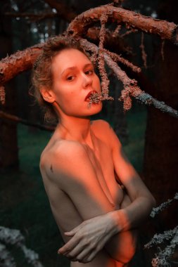 A young nude woman poses in a pine forest among old pines and dry branches, illuminated by the red rays of the setting sun. Nude art image