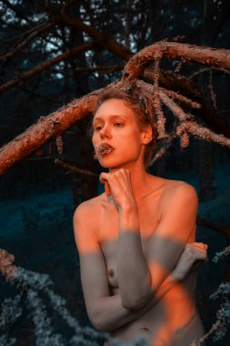 A young nude woman poses in a pine forest among old pines and dry branches, illuminated by the red rays of the setting sun. Nude art image