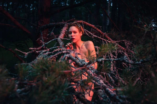 A young nude woman poses in a pine forest among old pines and dry branches, illuminated by the red rays of the setting sun. Nude art image
