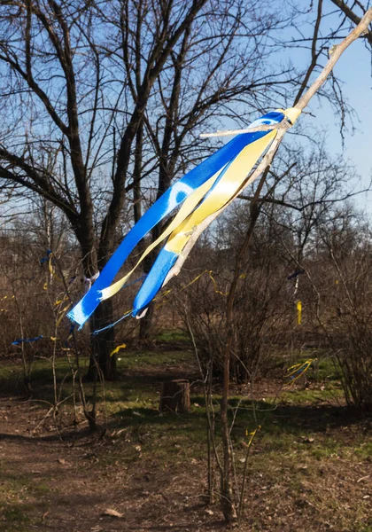 2022年3月1日在赫尔松的利拉克公园逝世的保卫领土英雄 象征乌克兰国旗的黄色和蓝色缎带在树枝上纪念英雄 — 图库照片