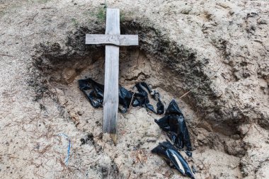 Crosses are seen at a forest grave site after an exhumation in the town of Izium, recently liberated by Ukrainian forces, in the Kharkiv region, Ukraine. clipart
