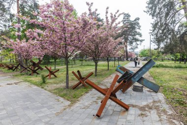 KYIV, UKRAINE - Mayıs. 04, 2023: Kyiv 'deki Kyoto Parkı' nda Sakura ağaçları çiçek açtı ve Kyiv parkındaki savaş işaretleri. 