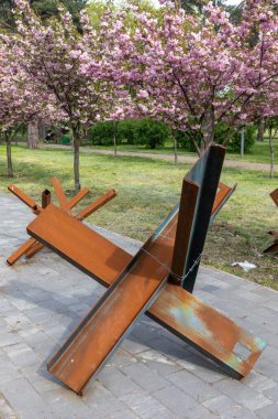 KYIV, UKRAINE - Mayıs. 04, 2023: Kyiv 'deki Kyoto Parkı' nda Sakura ağaçları çiçek açtı ve Kyiv parkındaki savaş işaretleri. 