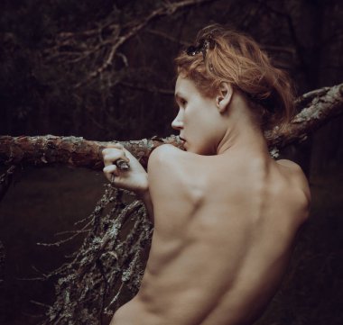 Genç çıplak bir kadın, çam ormanında yaşlı çam ağaçları ve kuru dalların arasında poz veriyor. Çıplak resim