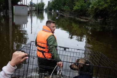 Kherson, Ukrayna, Haziran. 12, 2023: Kurtarma görevlileri ve gönüllüler evcil hayvanları kurtardı.