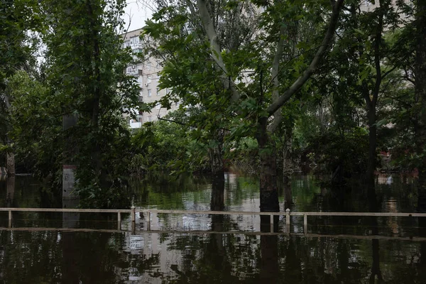 Herson Ukraine Juni 2023 Overstroomde Straten Van Kherson — Stockfoto