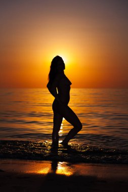 Güzellik, gençlik, çıplaklık ve doğa ile uyum. Gün batımında deniz kenarında tamamen çıplak genç bir kadının silueti..