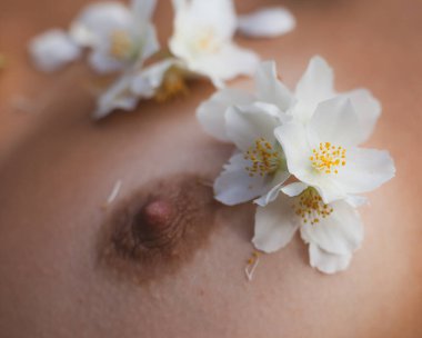 Güzellik, şehvet ve çıplaklık konsepti. Genç ve çıplak bir kadının romantik görüntüsü çimenlerde yatar ve yasemin çiçekleriyle süslenir..