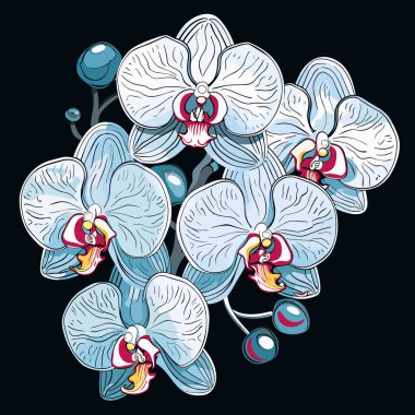 Dekoratif çok renkli çiçek arkaplanı. Tropikal orkide çiçeklerinin romantik buketi vektör populer sanat tarzında koyu arkaplanda. 