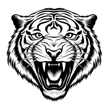 Popüler sanat tarzında görkemli ve heybetli bir kaplanın soyut portresi. Dekoratif vektör sanatı. Beyaz arka planda izole edilmiş. Tişört ve çıkartma şablonu 