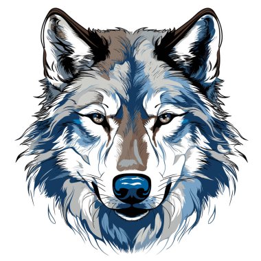 Kurdun portresi vektör populer sanat tarzında. Vahşi hayvan sanat illüstrasyonu. Tişört, etiket vs. için şablon.