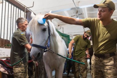 KYIV, UKRAINE - 23 Ağustos 2023: Ukrayna 'nın Kyiv kentindeki savaş bölgelerinde bulunan Ukraynalı askerler için hipoterapi oturumu 