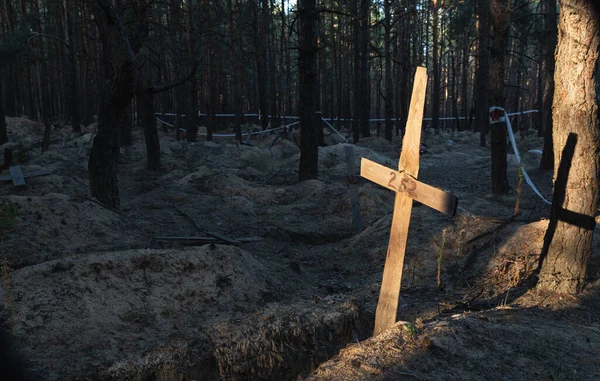 stock image A ray of the setting sun on a grave cross at a forest burial site after exhumation in the town of Izium, liberated by Ukrainian troops, Kharkiv Region, Ukraine.