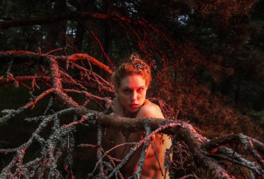 A young nude woman poses in a pine forest among old pines and dry branches, illuminated by the red rays of the setting sun. Nude art image