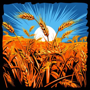 Dekoratif doğa geçmişi. Buğday tarlasında vektör sanat tarzında buğday kulaklarının soyut görüntüsü. Poster, tişört, çıkartma, logo için şablon