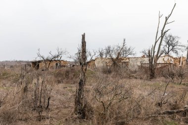 MYKOLAIV Reg, UKRAINE - Mar. 02, 2024: Ukrayna savaşı. Mykolaiv bölgesindeki bir köyde Rus askeri harekatı ve düzenli füze saldırılarıyla yıkılan yerel sakinlerin evleri görülüyor..